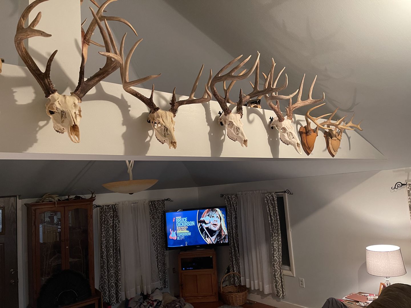 Customer photo review of European Trophy Mount - Small Hook - 5 PACK