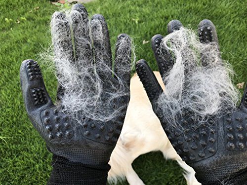 Customer photo review of Pair of DeShedding Gloves