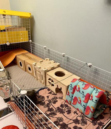 Customer photo review of GuineaDad Queen's Castle
