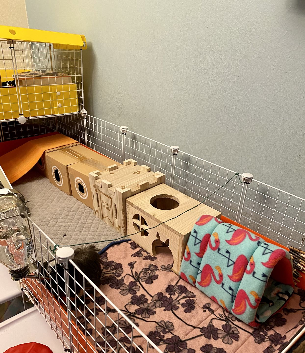 Customer photo review of GuineaDad Queen's Castle