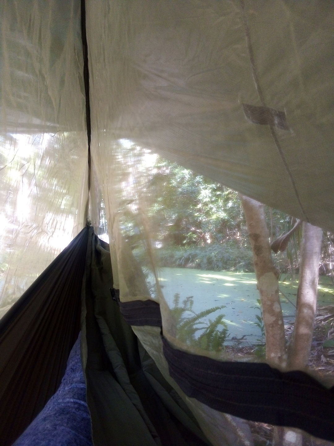 Customer photo review of Ultralight Hammock Bug Net