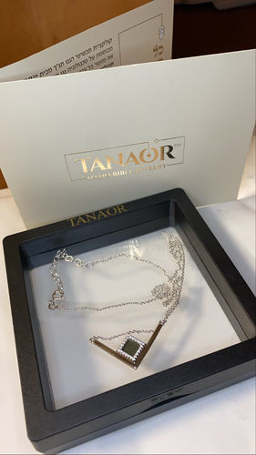 Customer photo review of V Shiny Necklace