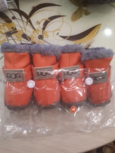 Customer photo review of Protective Dog Boots All Weather