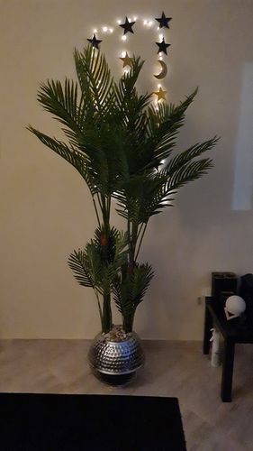 Customer photo review of إناء زرع فضي مع شجرة الأريكا - FL61