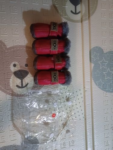 Customer photo review of Protective Dog Boots All Weather