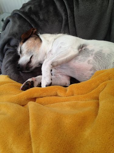 Customer photo review of Eden Country Cuisine