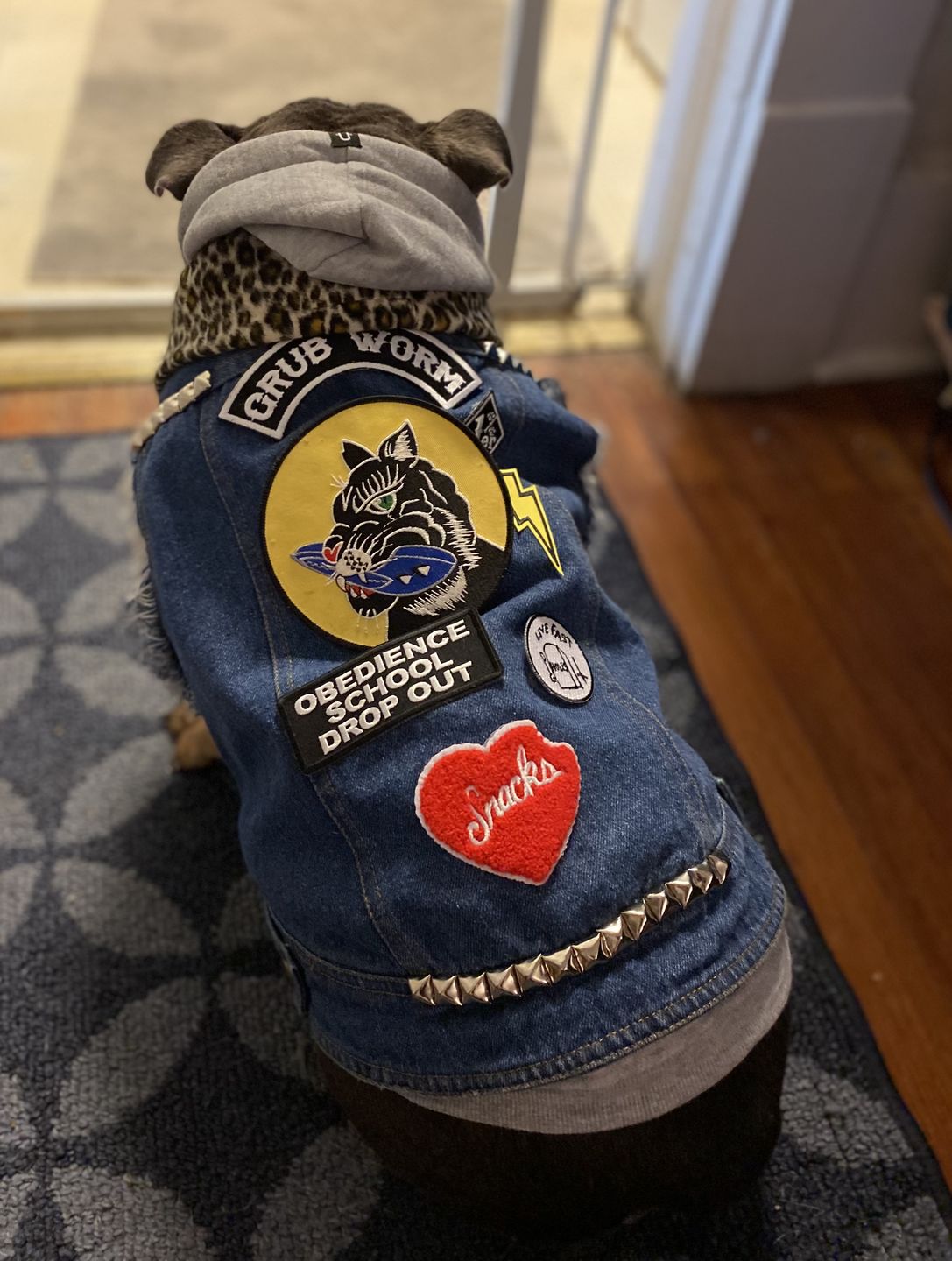 Customer photo review of Denim Dog Vest Raw Blue - Unpatched