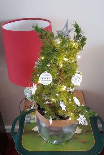 Customer photo review of Tiny Christmas Tree