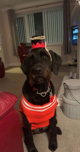 Customer photo review of CLEAN PRO5 REPLACEMENT HEADS X2