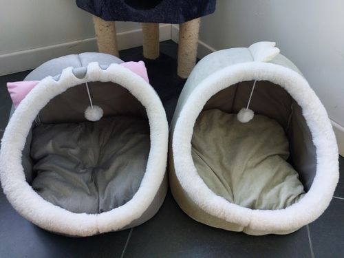 Customer photo review of Cat Bed Cave