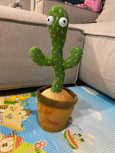 Customer photo review of Tanzender Wunderkaktus