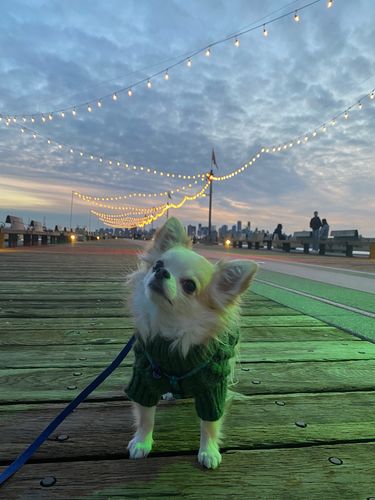 Customer photo review of Fisherman Sweater