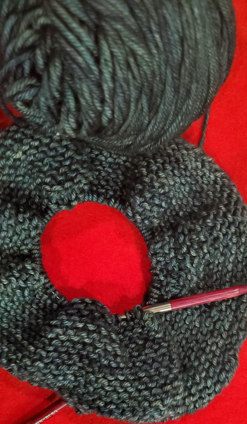 Customer photo review of Knitter's Pride Dreamz 16 inch Wood Circular Knitting Needles