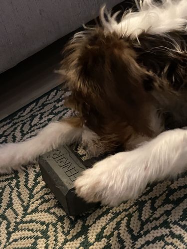 Customer photo review of The Fenrir Hammer