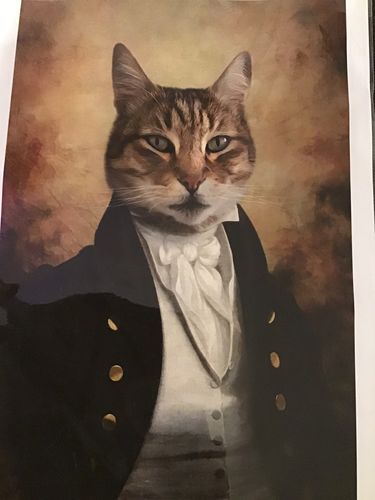 Customer photo review of The Baron - Custom Vintage Pet Portrait