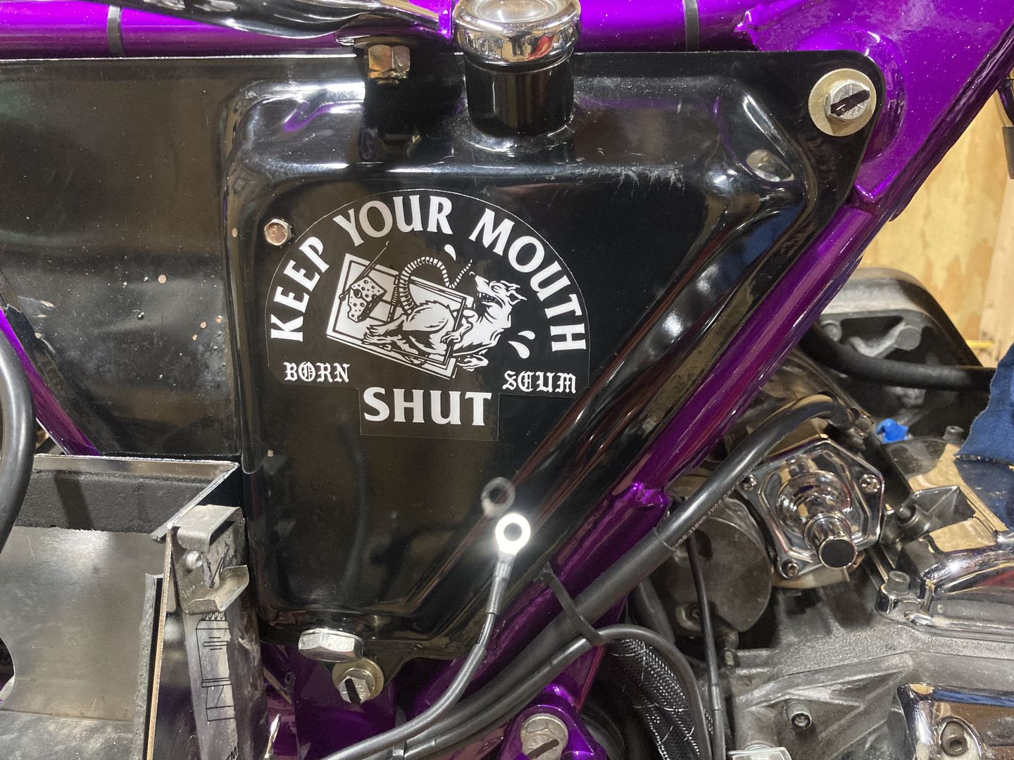 Customer photo review of KEEP YOUR MOUTH SHUT STICKER