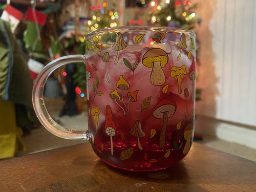 Customer photo review of Mushroom Glass Mug