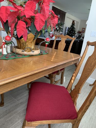 Customer photo review of Cabrexa Stretch Chair Seat Covers