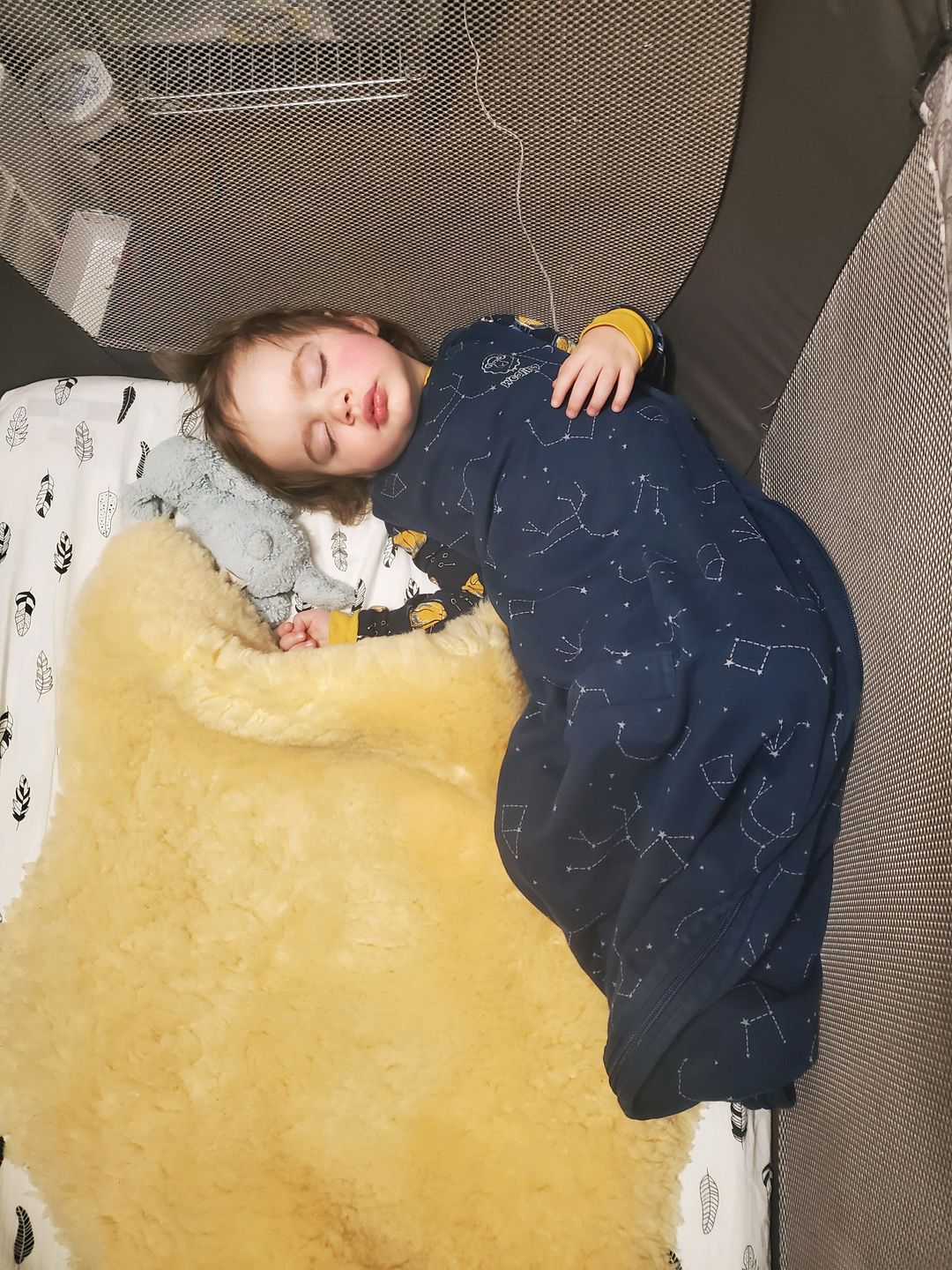 Customer photo review of Sheepskin Rug for Babies, 100% Natural, Shorn Lambskin Wool, 2 x 3 Feet, Flax