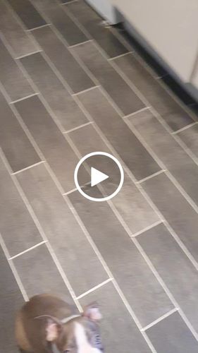 Customer video review of The Perfect Puppy Course