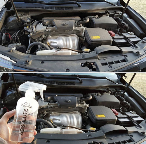 Customer photo review of Absolute All Purpose Cleaner