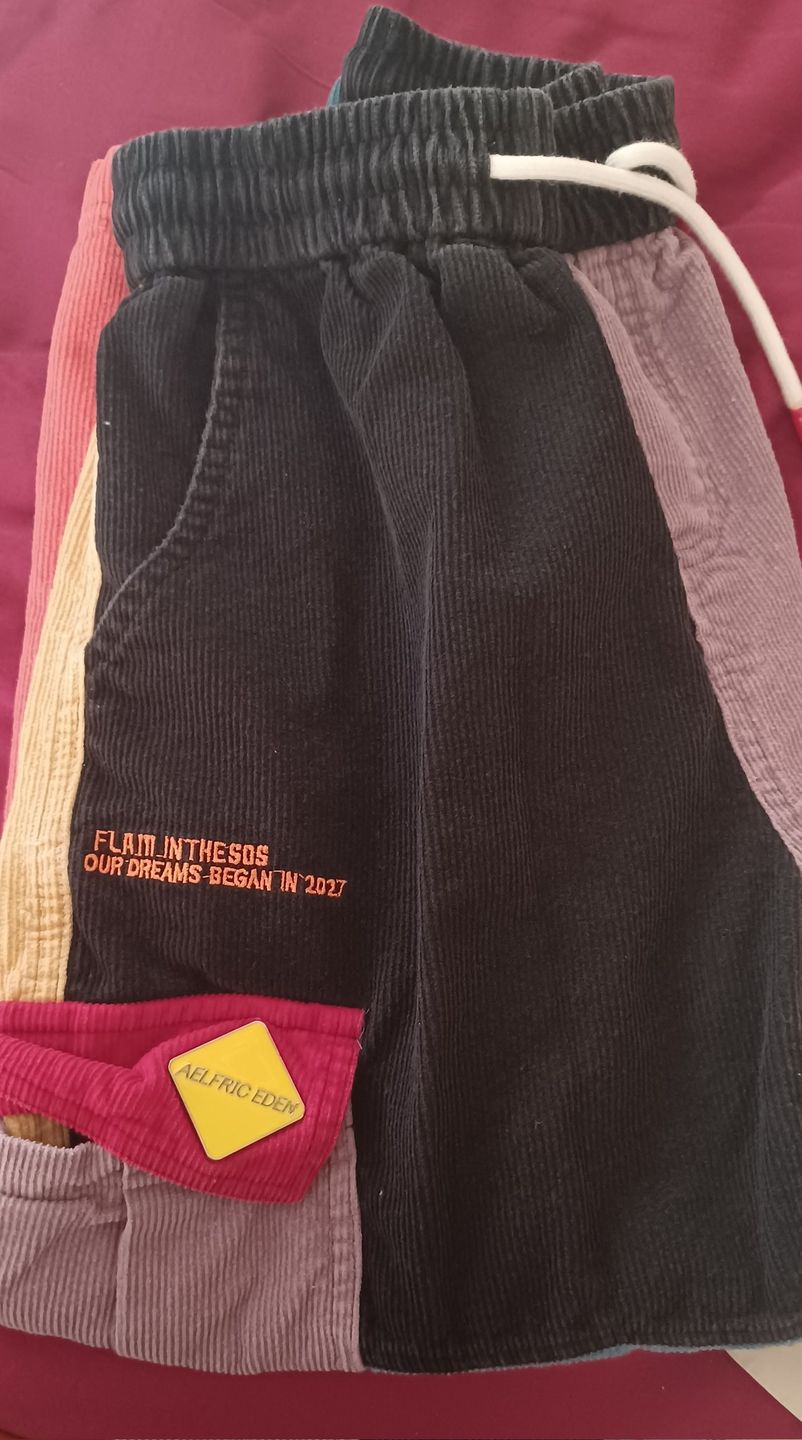 Customer photo review of Aelfric Eden "Back to 90's" Patchwork Color Block Corduroy Pants