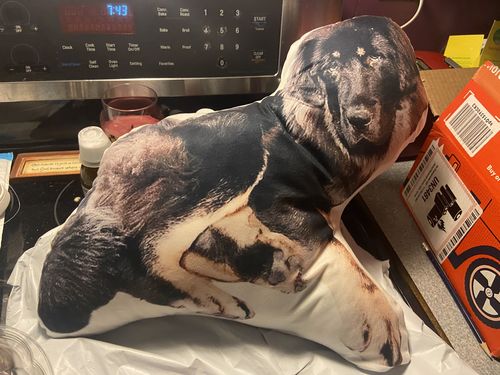 Customer photo review of Create A Custom Object Pillow