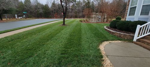 Customer photo review of Protene Performance Winter Fertilizer