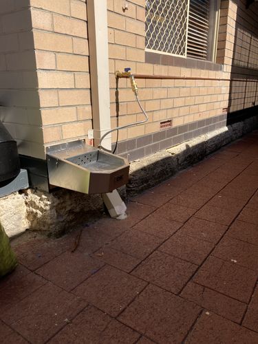 Customer photo review of Pet Rehydration Station