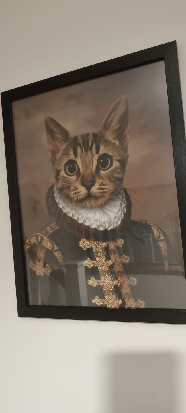 Customer photo review of The Count: Custom Pet Portrait