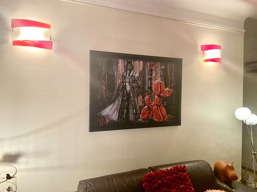 Customer photo review of " Best friends Vador " Édition Prestige sur Plexiglas