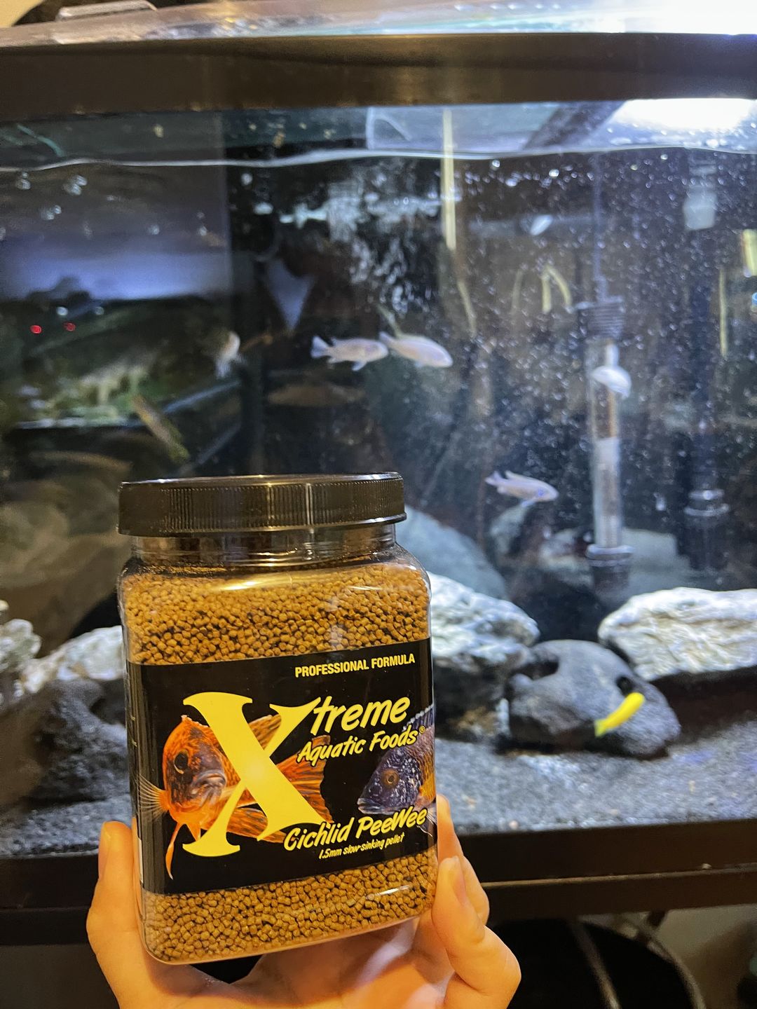 Customer photo review of Xtreme PeeWee Cichlid Fish Food