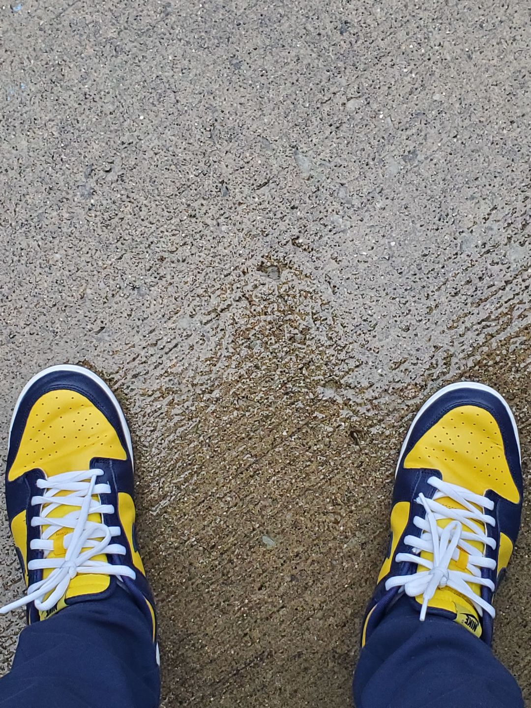 Customer photo review of Thick Oval Shoe Laces (Nike SB Laces)