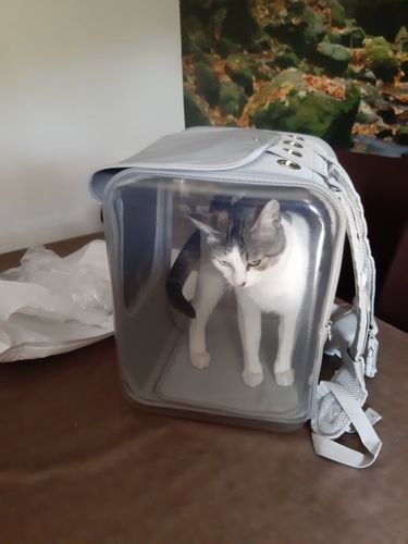 Customer photo review of Pet Backpack (Air-Vented)