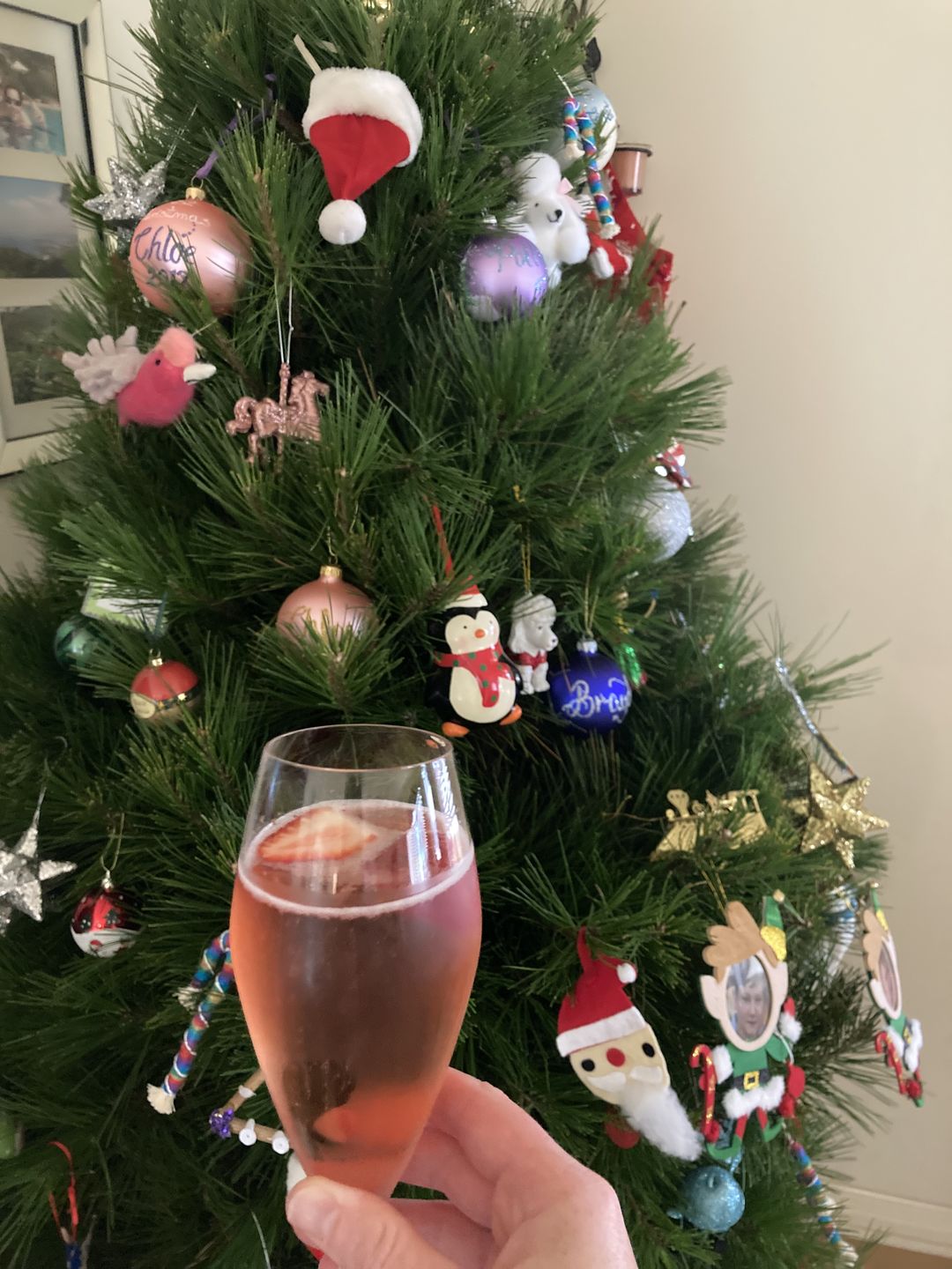 Customer photo review of Party Pack (6 Bottles) - Save 5%
