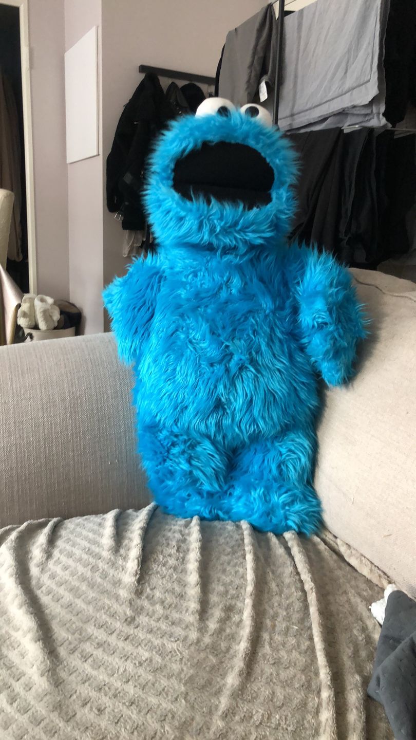 Customer photo review of Cookie Monster Marionnette Sesame Street