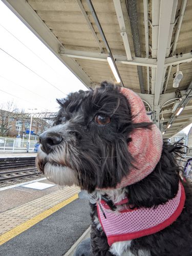 Customer photo review of SUN - Snood