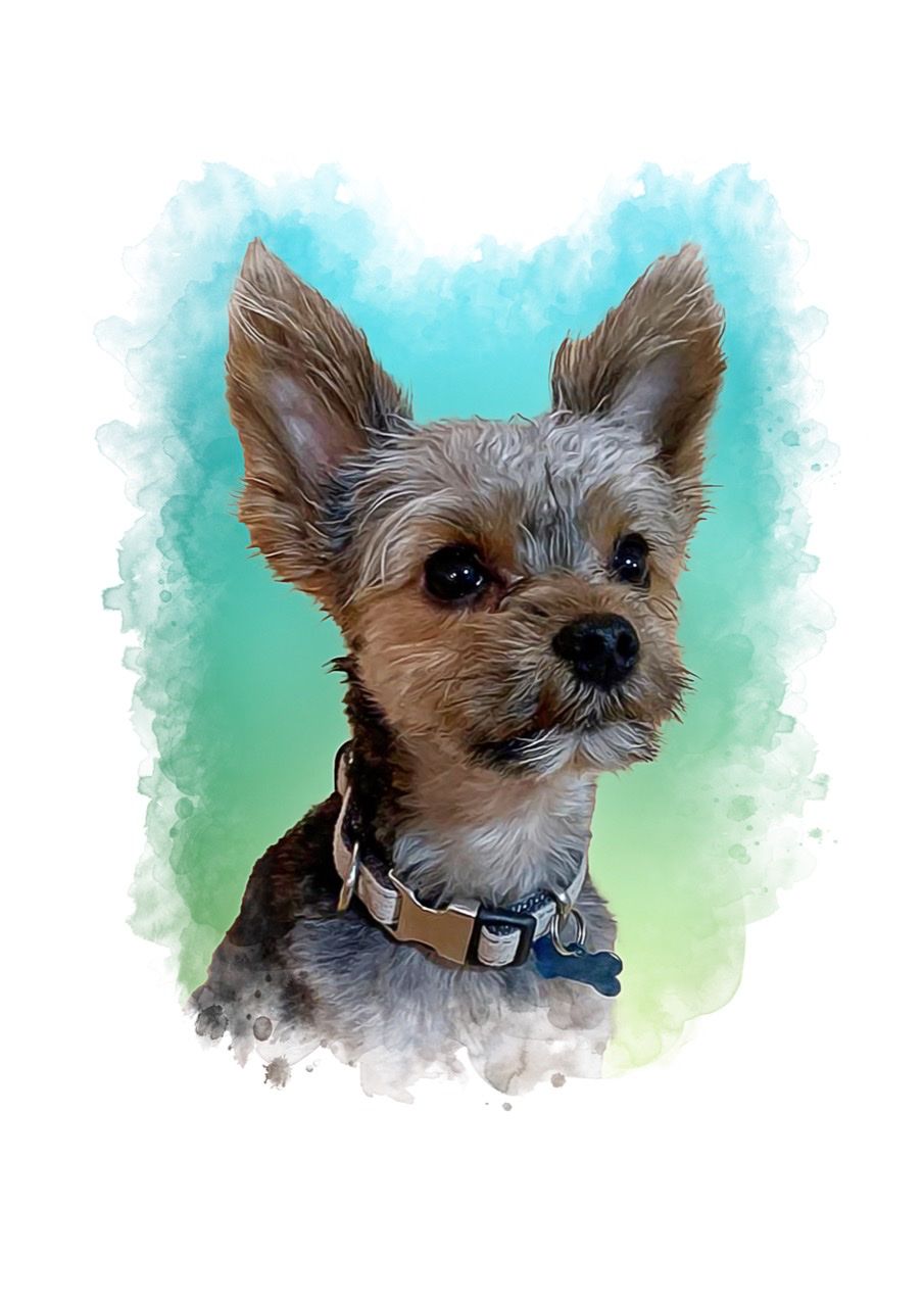 Customer photo review of Portrait deines Tieres im Wasserfarben-Stil