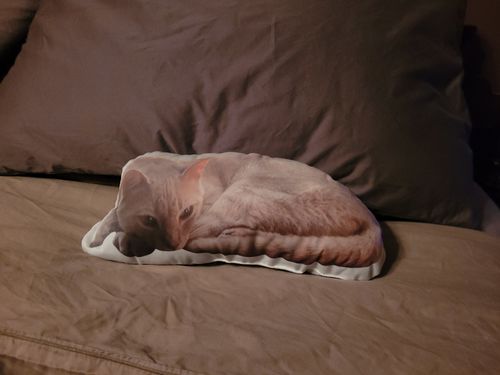 Customer photo review of Create A Custom Cat Pillow