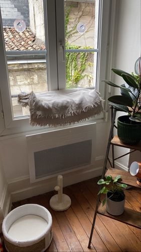 Customer photo review of Cat Window Hammock