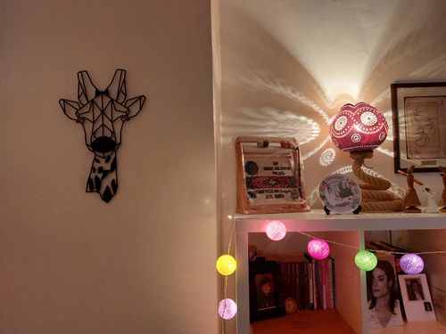 Customer photo review of Giraffe