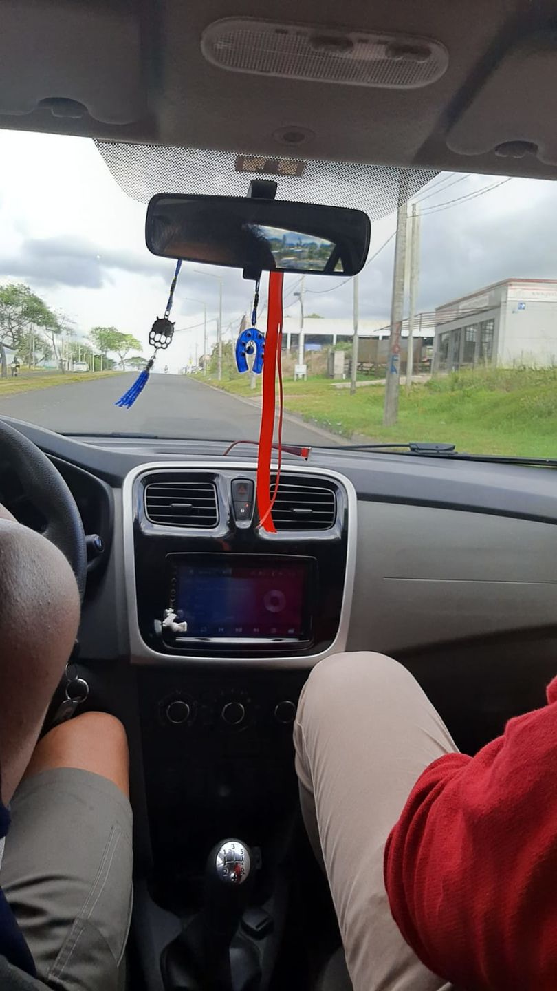 Customer photo review of Interior Cleaner & Protectant