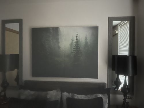 Customer photo review of Hurricane Ridge