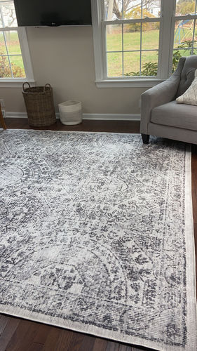 Customer photo review of Versailles Winter Gray Rug