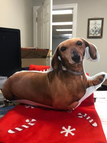 Customer photo review of Create A Custom Dog Pillow