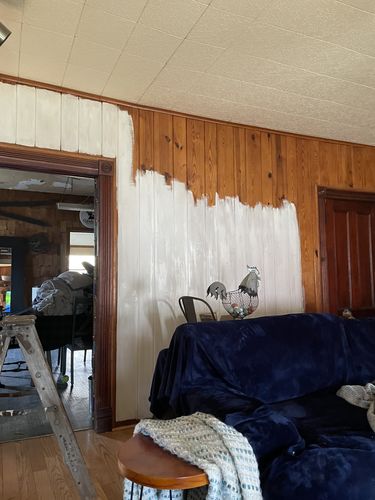 Customer photo review of Ballet White - One Step Paint