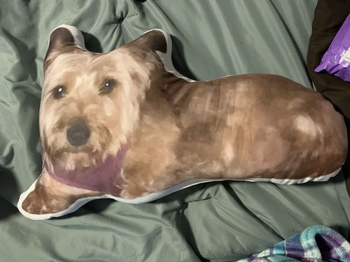 Customer photo review of Create A Custom Cat Pillow