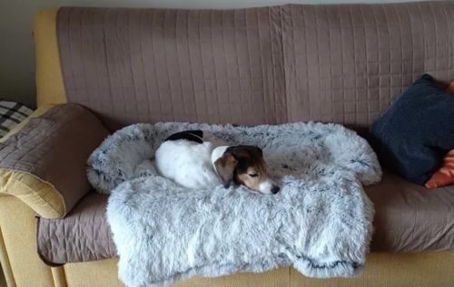 Customer photo review of Pfotenlove - Kuscheliges Hundebett "Überall" - Der perfekte Schutz für deine Möbel