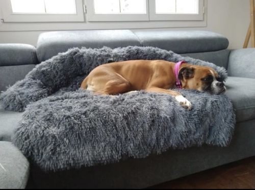 Customer photo review of Pfotenlove - Kuscheliges Hundebett "Überall" - Der perfekte Schutz für deine Möbel