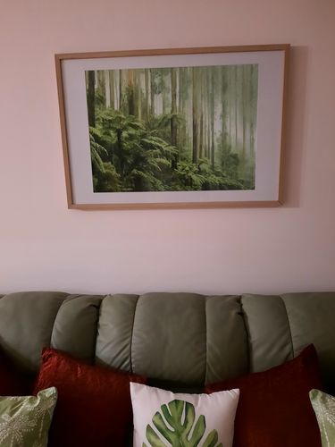 Customer photo review of Misty Forest, Healesville Victoria